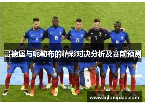 哥德堡与呃勒布的精彩对决分析及赛前预测